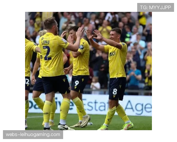 桑德兰球迷抗议裁判判罚，比赛一度中断